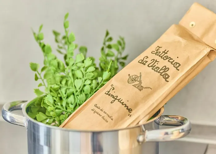 Appartement Schoene Balkon Wlan Zentrale Lage Ludwigshafen