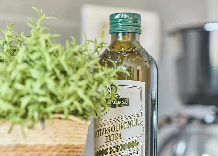 Appartement Schoene Balkon Wlan Zentrale Lage Ludwigshafen