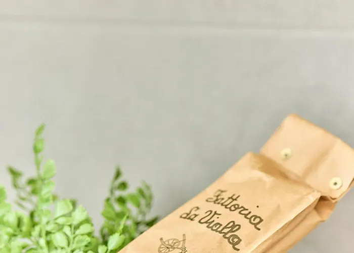 Schoene Balkon Wlan Zentrale Lage 莱茵河畔路德维希港